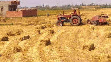 فؤاد تتابع آخر مستجدات جهود وزارة البيئة للحد من نوبات تلوث الهواء الحادة