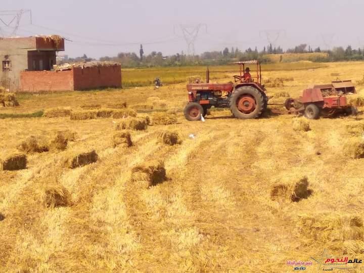 فؤاد تتابع آخر مستجدات جهود وزارة البيئة للحد من نوبات تلوث الهواء الحادة