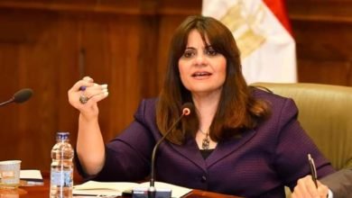 الجندي تلبي دعوة "العلاقات الخارجية" بالنواب لمناقشة الخدمات المقدمة للمصريين بالخارج