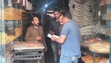 محافظ الإسكندرية يشدد على الاجهزة التنفيذية ورؤساء الأحياء بضرورة ضبط الأسعار وتوافر السلع
