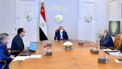 الرئيس السيسى يوجه بتعزيز الجهود للنهوض بقطاع الطيران المدنى