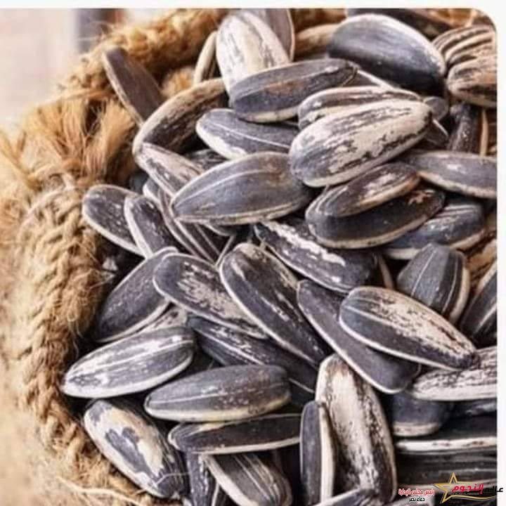 اللب السوري وماله من فوائد مذهلة 3 اللب السورى وماله من فوائد مذهلة