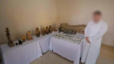 القبض على شخص بحوزته 295 قطعة أثرية بالدقهلية