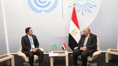  شكري يلتقي مع وزير خارجية باكستان ووزيرة التغير المناخي