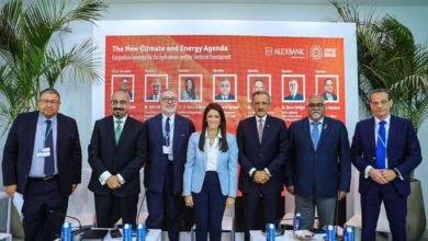 المشاط: شراكات دولية مستمرة للتكامل مع الجهود الوطنية لتحفيز الأمن الغذائي والتوسع في مشروعات دعم صغار المزارعين