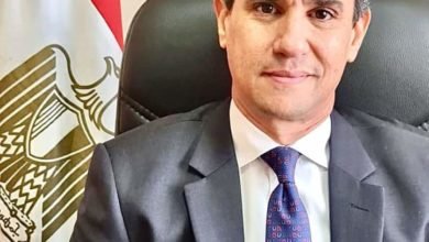 مصر تشارك مجدداً فى اجتماعات العشرين والسفير راجي الإتربي ممثلاً شخصياً للرئيس السيسي لدى المجموعة