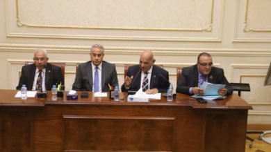 شحاتة: لدينا خطة واضحة في دعم وتوسيع قاعدة بيانات العمالة غير المنتظمة