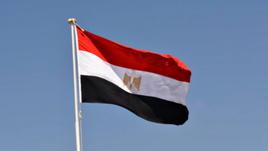 مصر تدين الغارات الإسرائيلية على الأراضى السورية