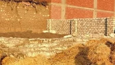 شن حملات لإزالة التعديات المخالفة علي الأراضى الزراعية وتطبيق القانون على المخالفين بمحافظة الشرقية 