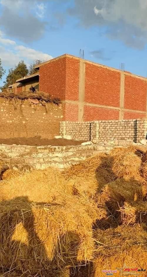 شن حملات لإزالة التعديات المخالفة علي الأراضى الزراعية وتطبيق القانون على المخالفين بمحافظة الشرقية 2 شن حملات لإزالة التعديات المخالفة علي الأراضى الزراعية وتطبيق القانون على المخالفين بمحافظة الشرقية
