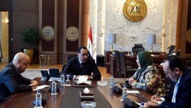 رئيس الوزراء يتابع الموقف التنفيذي لتطوير جزيرة الوراق