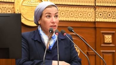فؤاد: إنشاء صندوق الأضرار والخسائر لتعويض الدول الفقيرة خاصة الأفريقية بعد جهود شاقة