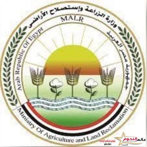 الزراعة: الإفراج عن 150 ألف طن أعلاف"الذرة والصويا" بحوالي 79 مليون دولار خلال الأسبوع الماضي