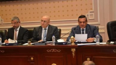 آمنة: الحكومة عايزة المواطن يأخد حقه ونحافظ على حقوق الأجيال القادمة من أملاك وأراضي الدولة