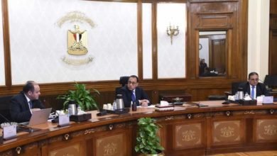 رئيس الوزراء يستعرض ملامح الاستراتيجية الوطنية للتنمية الصناعية