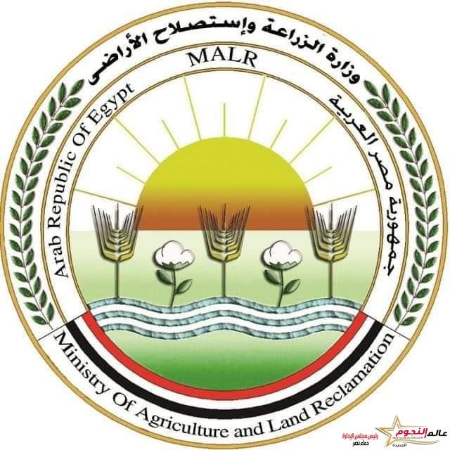 القصير: الإفراج عن 145 ألف طن أعلاف "الذرة والصويا" بحوالي 70 مليون دولار خلال الأسبوع الماضي