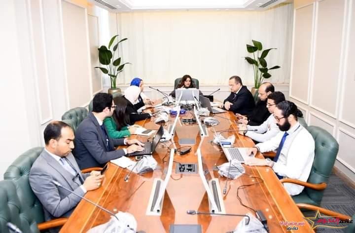 وزيرة الهجرة تلتقي أعضاء ورموز الجالية المصرية بألمانيا عبر تطبيق زووم