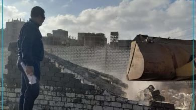 محافظ الإسكندرية يشدد على رؤساء الأحياء بمواصلة إزالة التعديات على الأراضي الزراعية