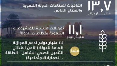 وزارة التعاون الدولي تُعلن تفاصيل التمويلات الإنمائية الميسرة لقطاعات الدولة والقطاع الخاص خلال ٢٠٢٢