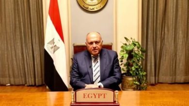 شكري يتوجه إلى العاصمة التنزانية للمشاركة في احتفال تدشين ملء بحيرة سد "جوليوس نيريري"