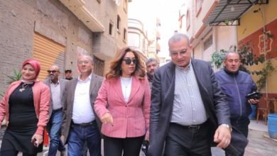 محافظ دمياط ورئيس صندوق التنمية الحضرية يتابعان آخر التطورات بمشروع تطوير المناطق الغير مخططة