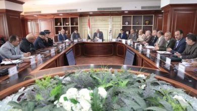 محافظ بني سويف يُكرًم بعض العناصر المتميزة بوحدات الرصد الميداني بمركز معلومات التنمية المحلية 