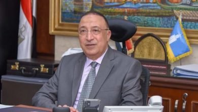 محافظ الإسكندرية يرسل برقية تهنئة لفخامة الرئيس بمناسبة حلول العام الميلادي الجديد