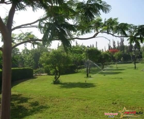 فؤاد: زيادة عدد محطات رصد مستويات الضوضاء إلى 40 محطة رصد خلال عام 2022