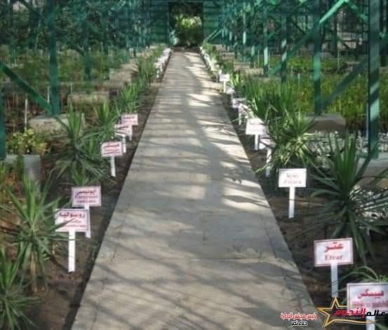 فؤاد: زيادة عدد محطات رصد مستويات الضوضاء إلى 40 محطة رصد خلال عام 2022