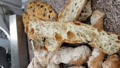 الشباطة الألماني ... مقدمة من الشيف: حسن عبد المنعم