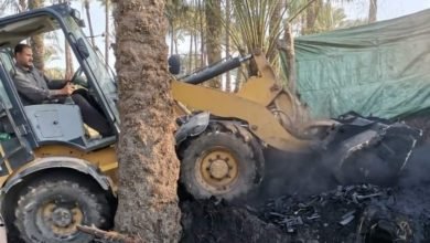 حملة مكبرة لإزالة مكامير الفحم المخالفة بكفر البطيخ