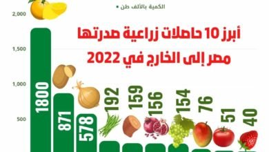 "الزراعة" تعلن بالأرقام التقرير النهائي لصادرات مصر الزراعية خلال عام 2022