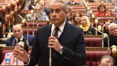وزير القوى العاملة يستعرض أمام مجلس الشيوخ خطة "الوزارة" 