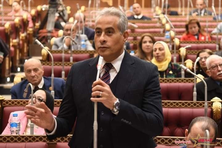 وزير القوى العاملة يستعرض أمام مجلس الشيوخ خطة "الوزارة" 