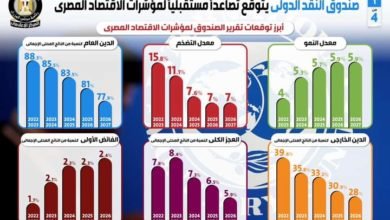 صندوق النقد الدولي يتوقع تصاعداً مستقبلياً لمؤشرات الاقتصاد المصري 