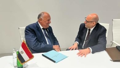 سامح شكري رئيس مؤتمر المناخ يلتقي السكرتير التنفيذي لإتفاقية الأمم المتحدة الإطارية لتغير المناخ