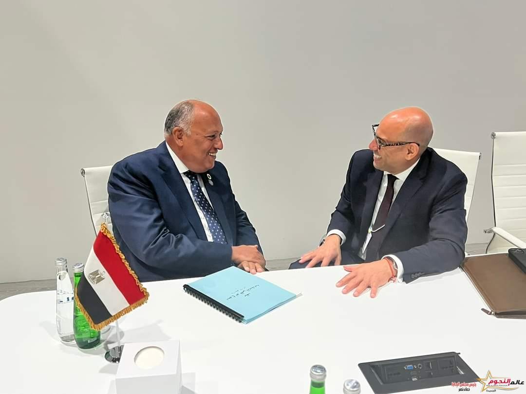سامح شكري رئيس مؤتمر المناخ يلتقي السكرتير التنفيذي لإتفاقية الأمم المتحدة الإطارية لتغير المناخ