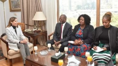 الكيلاني تلتقي وفد من جنوب أفريقيا للاتفاق على فعاليات "الموسم الثقافي الجنوب أفريقي" 