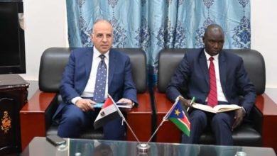  سويلم يبحث مع وزيرى الري والاستثمار بجنوب السودان سبل تعزيز التعاون المشترك فى كافة المجالات