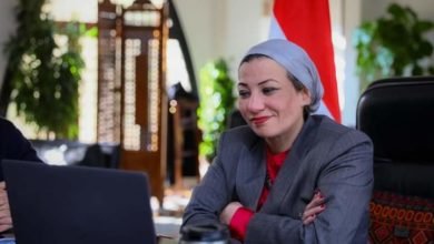 فؤاد تناقش مع ممثلي البنك الدولي آخر مستجدات مشروع إدارة تلوث الهواء 
