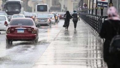 تكاثر السحب وأمطار بسواحل الشمال خفيفة على مناطق بالقاهرة