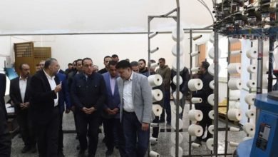 رئيس الوزراء يتفقد المنطقة الصناعية المتطورة بالمحلة الكبرى