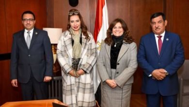 جندي: نواب البرلمان ممثلو الشعب وحريصون على التنسيق المستمر لخدمة المصريين بالخارج