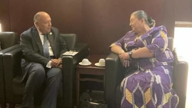 وزير الخارجية يلتقي مع مبعوثة سكرتير عام الأمم المتحدة الخاصة للقرن الإفريقي