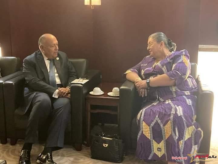 وزير الخارجية يلتقي مع مبعوثة سكرتير عام الأمم المتحدة الخاصة للقرن الإفريقي