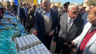وزير الزراعة ومحافظ جنوب سيناء يتفقدان معرض السلع ومعصرة الزيوت وإحدى المزراع الخاصة