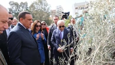 وزيرا التربية والتعليم والتنمية المحليةيدشنان مبادرة ١٠٠ مليون شجرة بمحافظة البحيرة