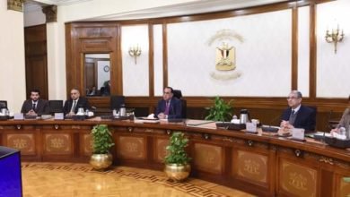 رئيس الوزراء يبحث فرص توطين صناعة مكونات مشروعات الكهرباء