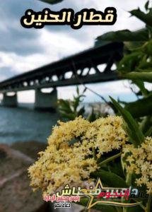 قطار الحنين... بقلم: د. عبير منطاش