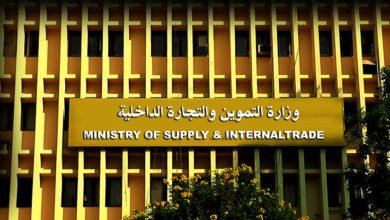 التموين: طرح الدواجن المحلية والبرازيلي المجمدة بأسعار مخفضة 30%